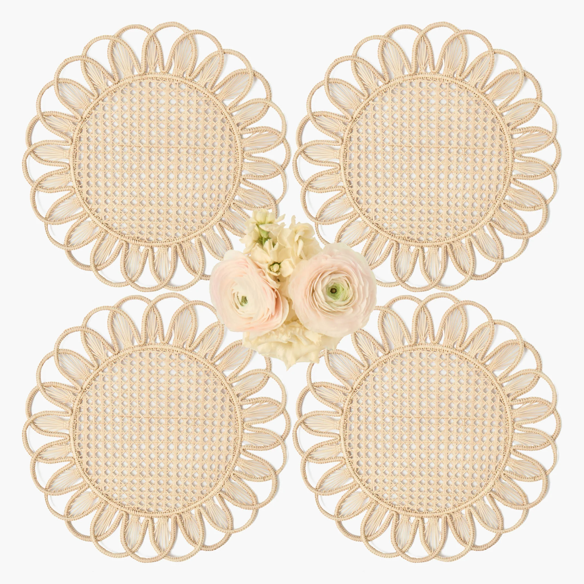 Cara Woven Placemats (Set of 4) - Image 15