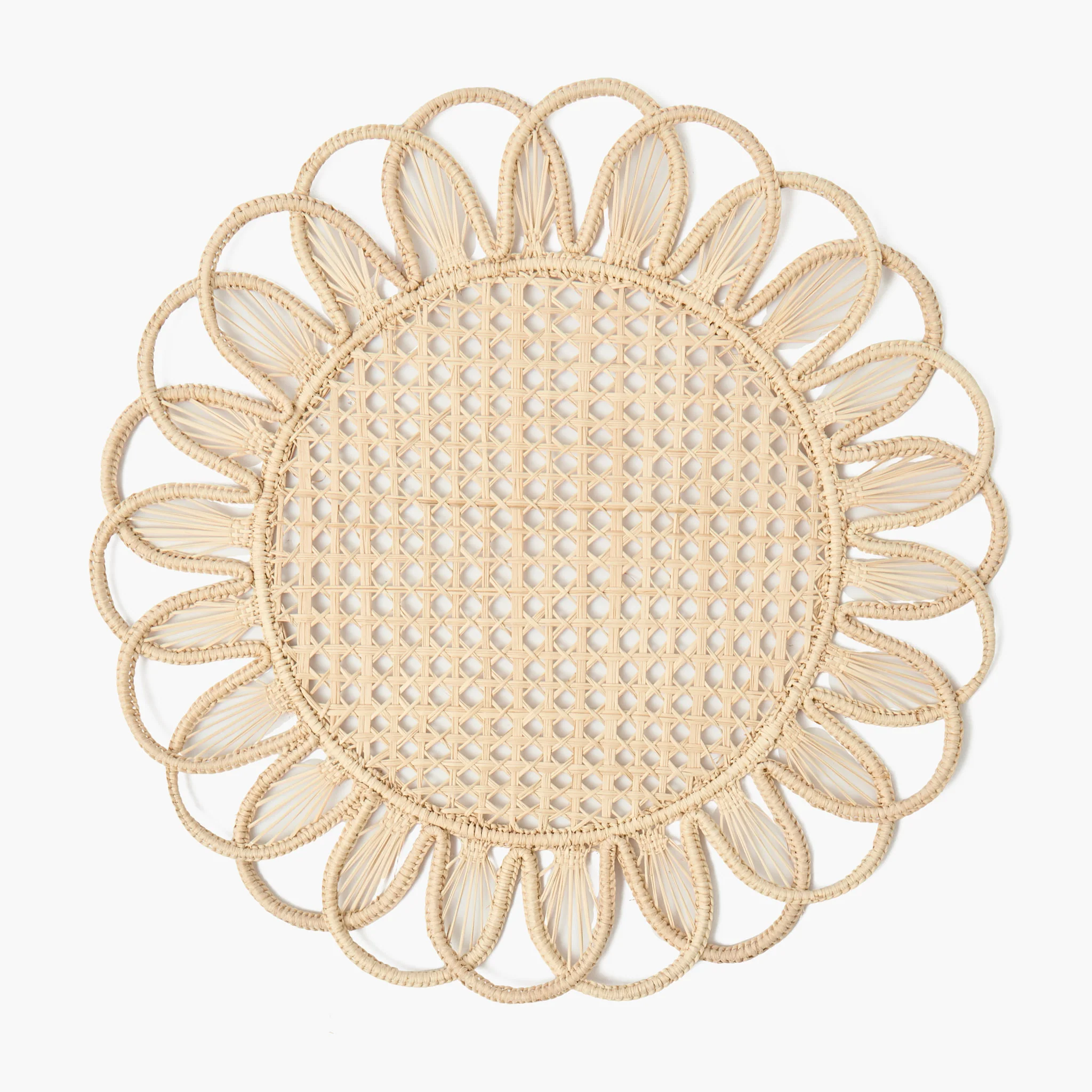 Cara Woven Placemats (Set of 4) - Image 21