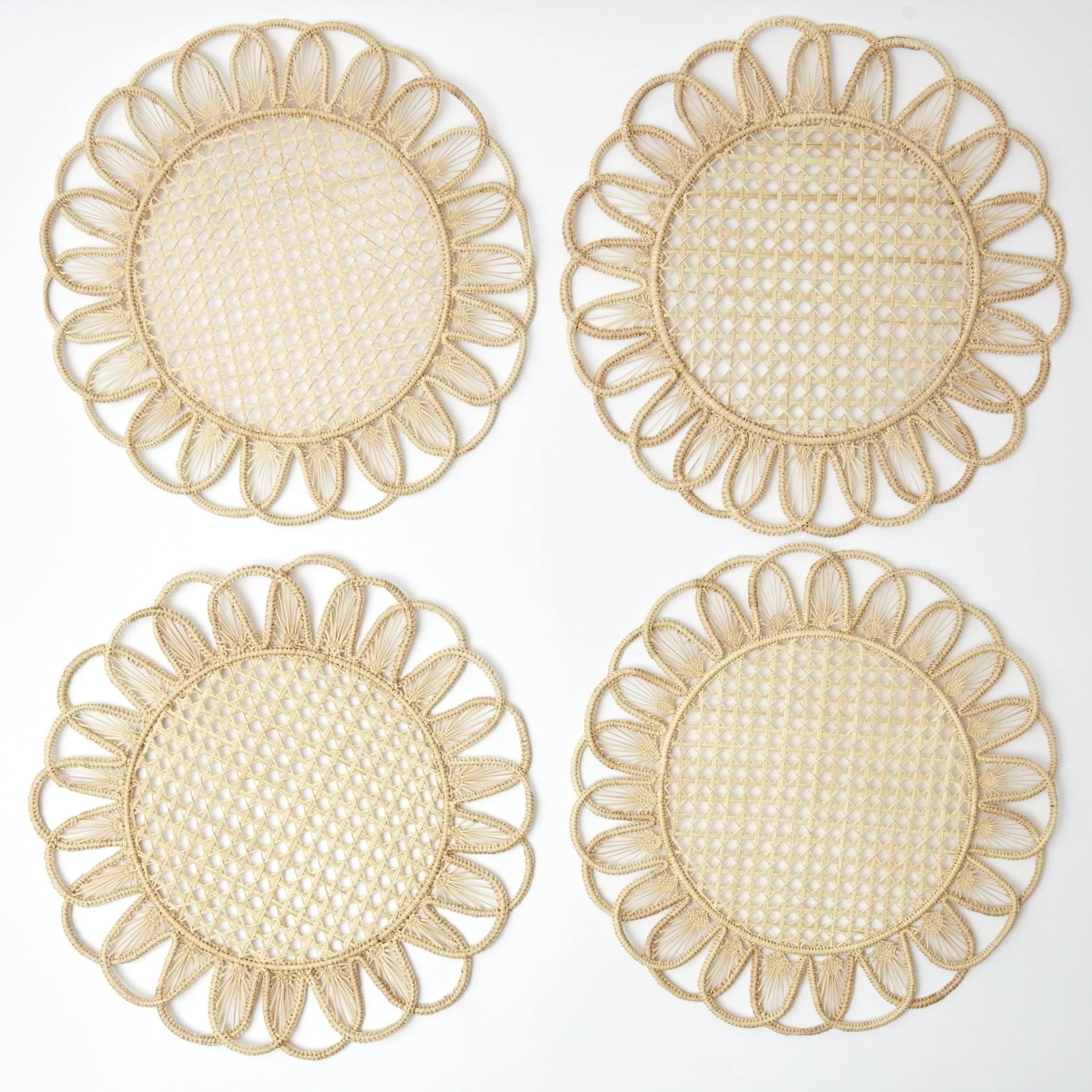 Cara Woven Placemats (Set of 4) - Image 26
