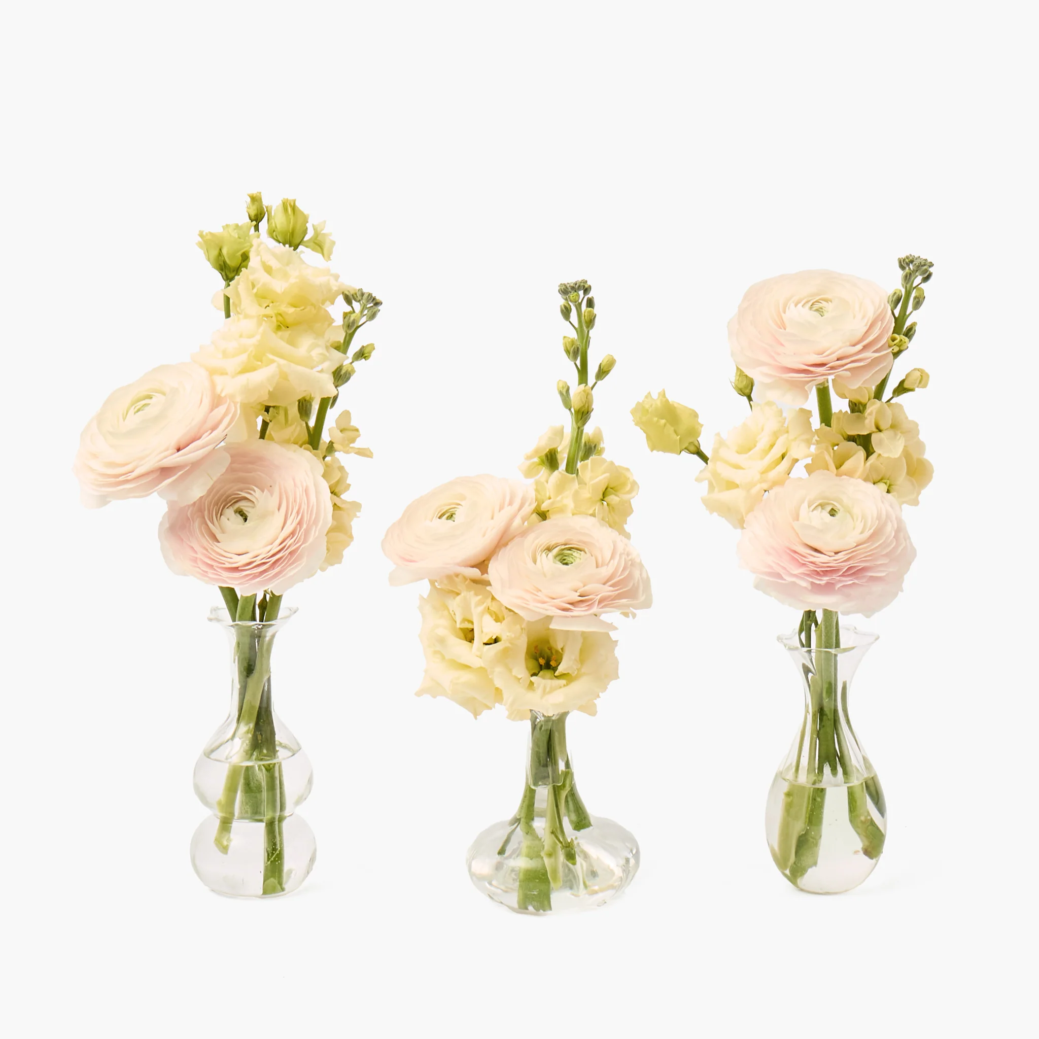 Esme Bud Vase Set (Set of 3) - Image 6