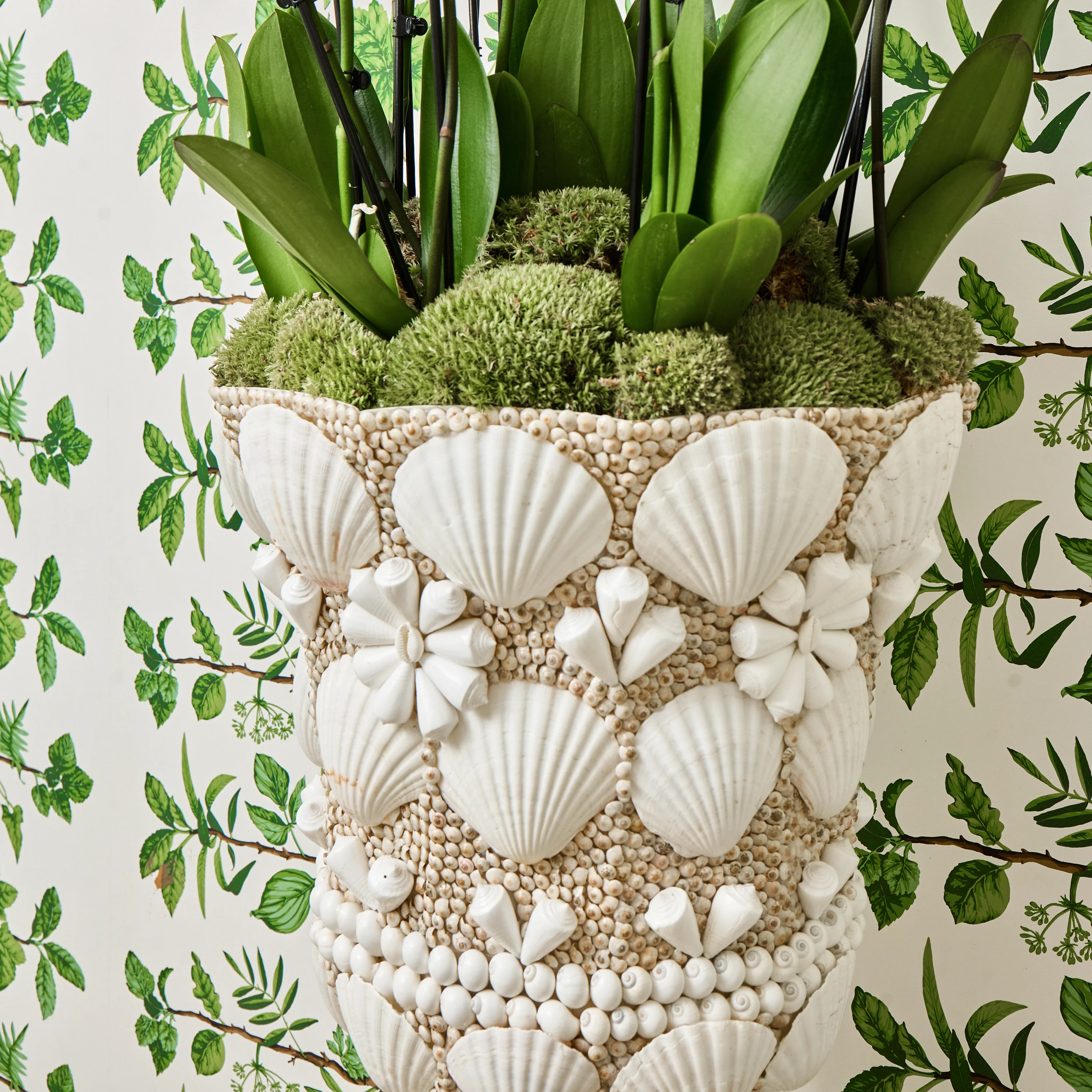 Large Mixed Shell Urn & Pedestal - Image 8