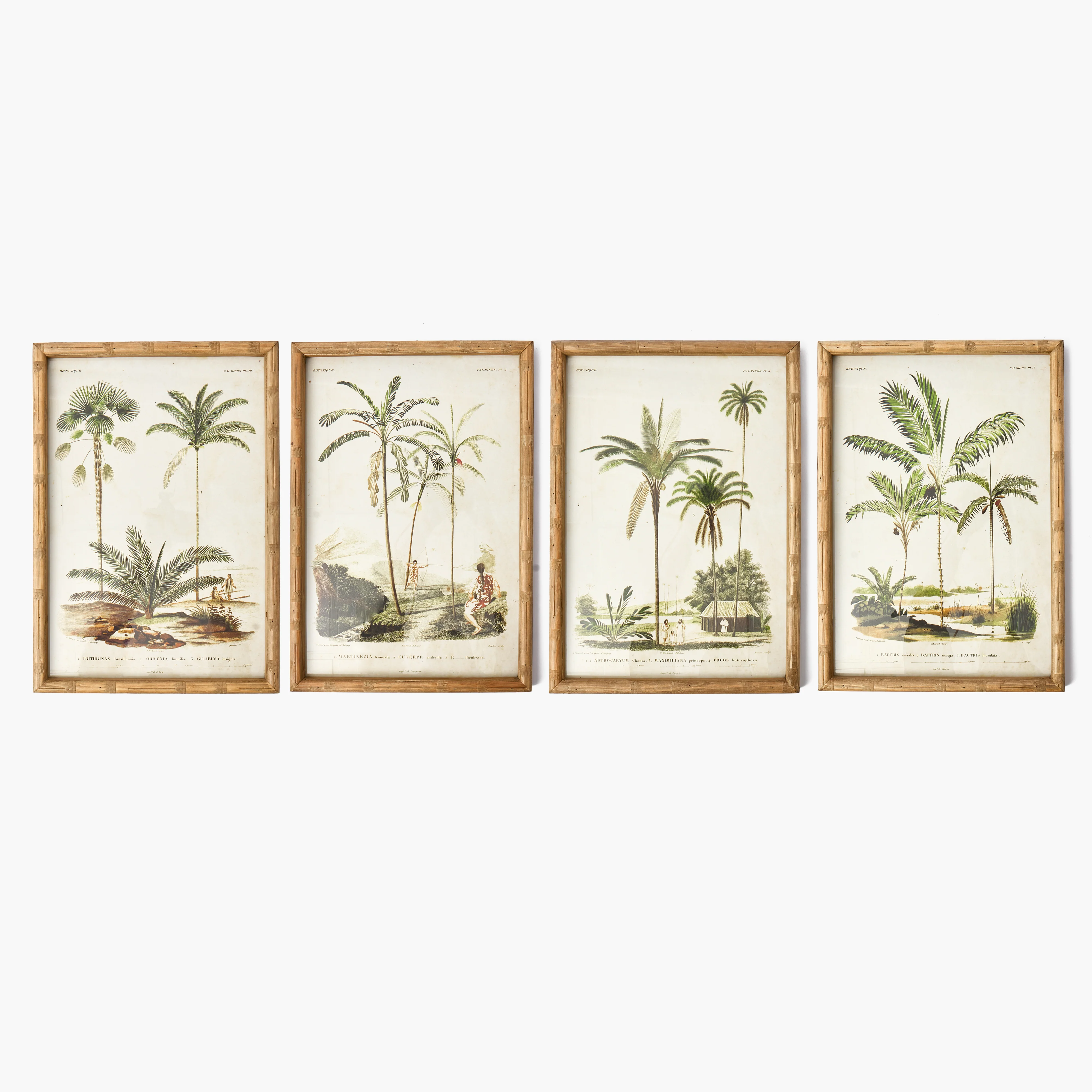 Palm Tree Bamboo Framed Wall Art (Set of 4) - Image 8